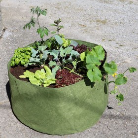 Root Pouch 3.8 Liter